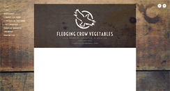 Desktop Screenshot of fledgingcrow.com